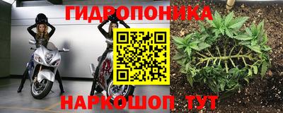наркотики Боровичи