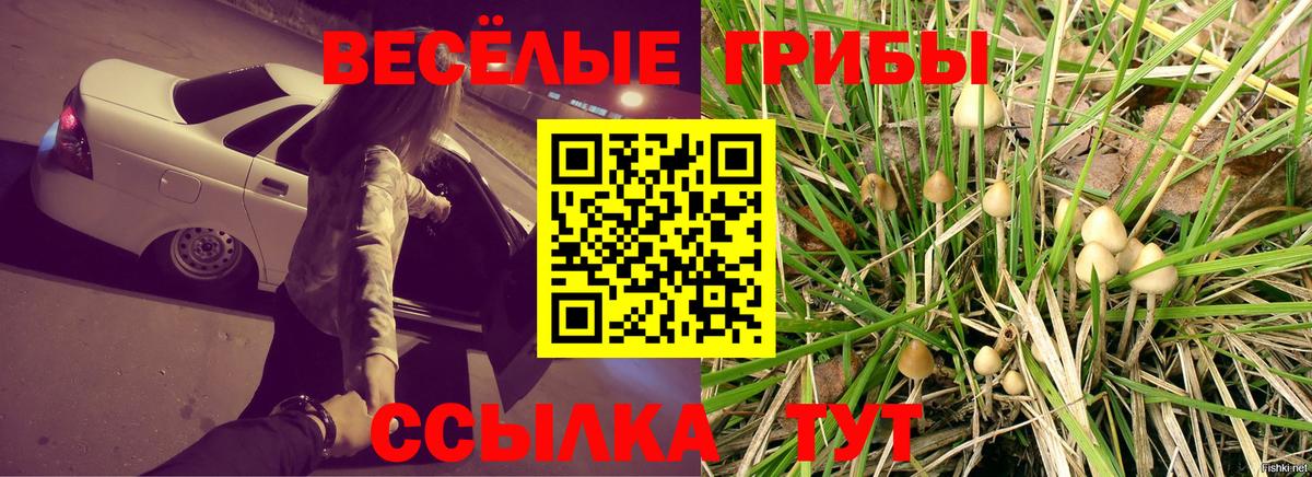 Клин  Канабис  Меф   КОКАИН  Вход с VPN  ГАШ  Метадон 